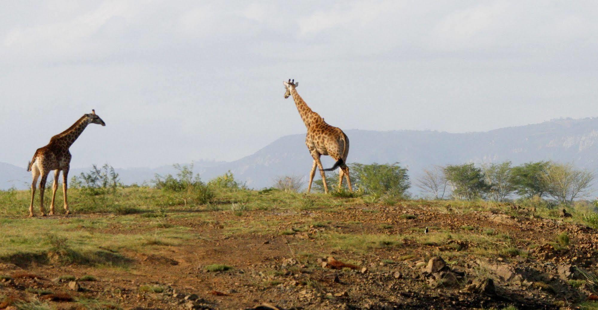 Shayamoya Tiger Fishing And Game Lodge Pongola Exterior foto